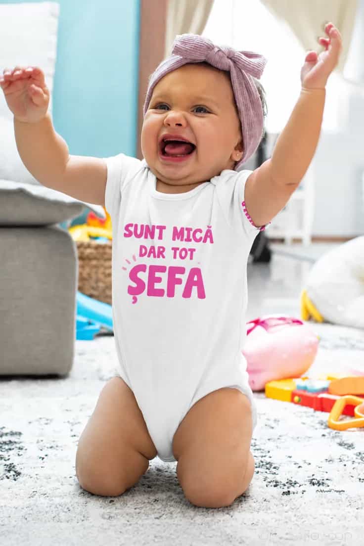 Miniatură