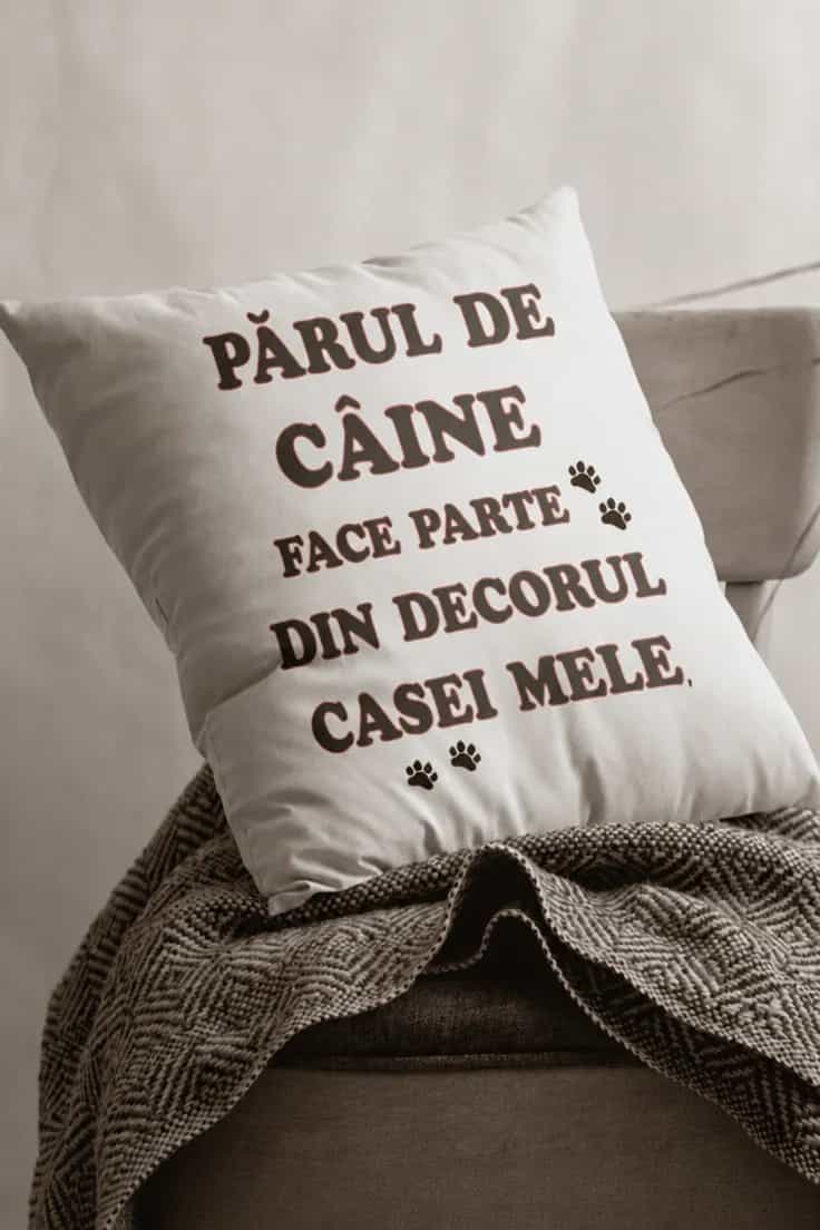 Miniatură
