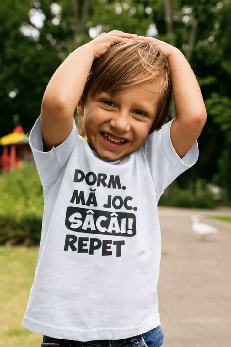 Miniatură
