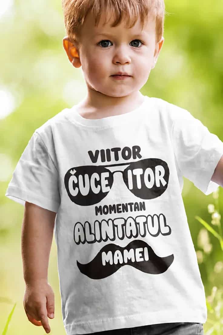 Miniatură