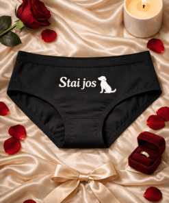 Chiloți amuzanți pentru femei „Stai jos” (căluțel)
