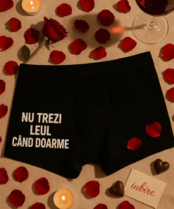 Boxeri amuzanți Nu trezi leul cu mesajul NU TREZI LEUL CÂND DOARME